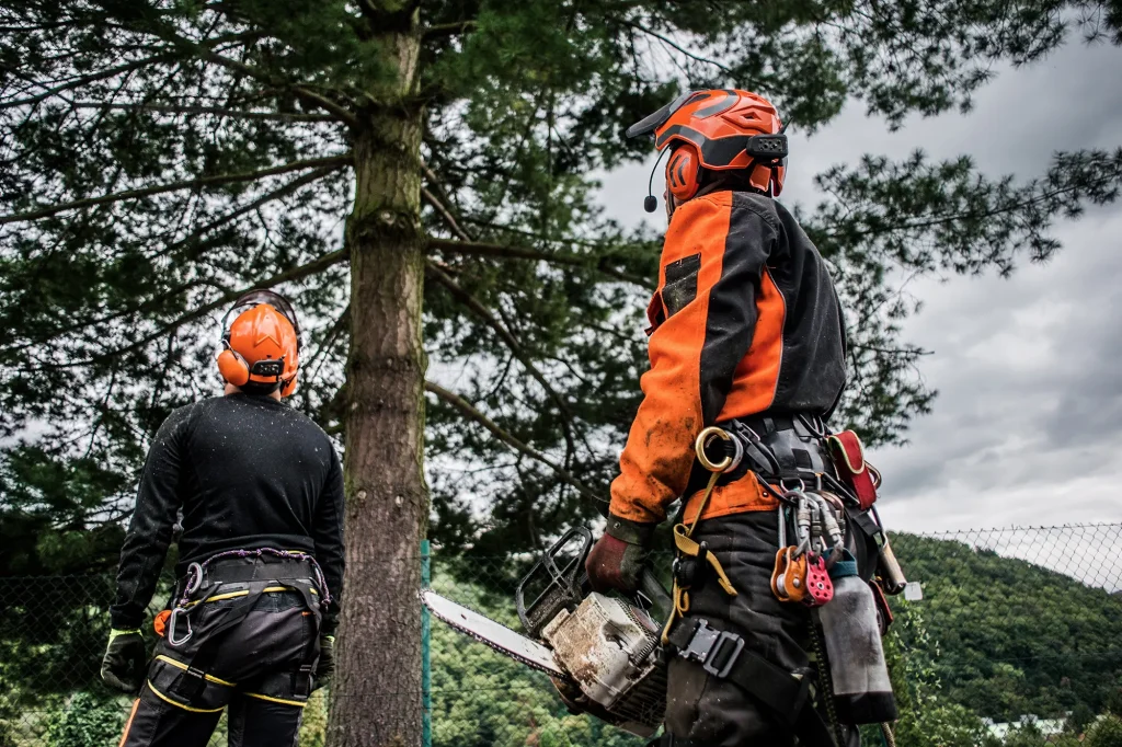 abbigliamento lavoro forestale